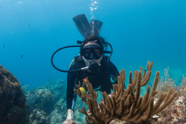 Snorkeling Tour in Porto Cesareo EXCLUSIVE