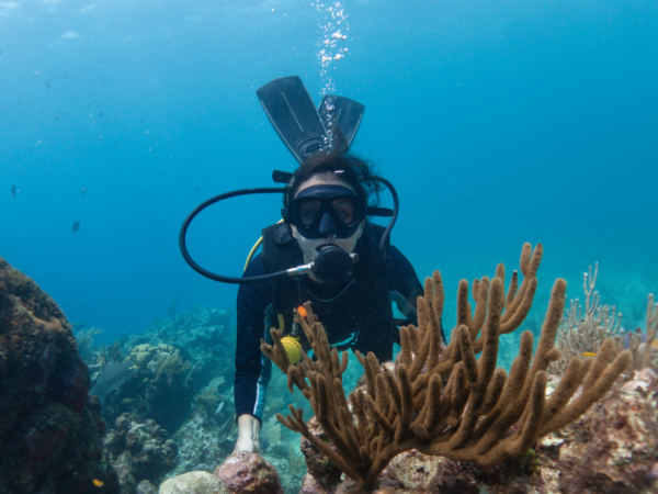 Snorkeling Tour in Porto Cesareo EXCLUSIVE